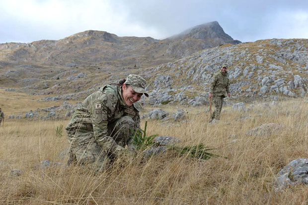 Одлука војске да сади 100.000 јела и борова на пашњаку, изазвала оштру реакцију грађана